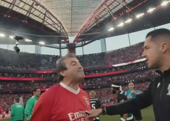 As imagens do adepto do Benfica que tentou agredir João Pinheiro