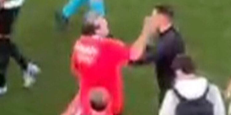 (Video) Adepto do Benfica que invadiu o campo tentou agredir o 4º árbitro Gustavo Correia após Benfica-Sporting