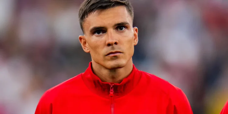 João Palhinha no Benfica