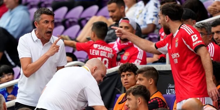 (Video) João Malheiro reage a luta de Kökçü e Bruno Lage