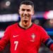 (Video) A reação de Cristiano Ronaldo ao apuramento de Portugal para a final já corre o mundo