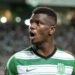 Pedro Henriques diz que Ousmane Diomande é o melhor defesa de Portugal e a reação de Benfica é viral