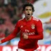 João Félix desviado do Benfica
