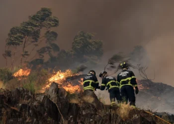 A41 cortada entre Paços de Ferreira e Espinho por causa do fogo