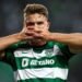 Viktor Gyökeres corta todas as ligações a Portugal: depois da rutura com Inês Aguiar, sueco vira costas ao Sporting sem medo de represálias