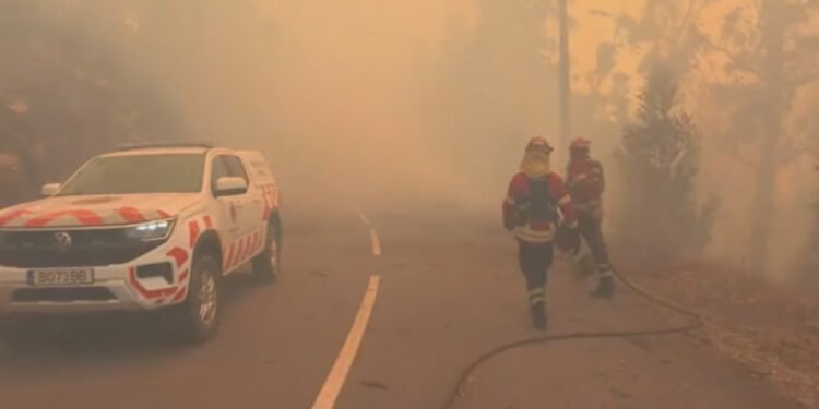 Carro da CNN Portugal destruído por incêndio em direto