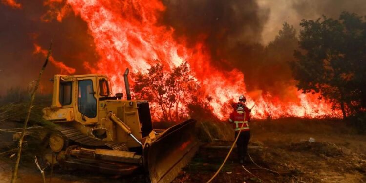 Homem de 65 anos morre no incêndio de Mirandela