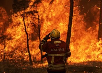 Bombeira detida por atear fogos em Pedrógão Grande vai aguardar julgamento em prisão preventiva