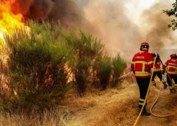 Criança emociona a todos ao combater o incêndio sozinho