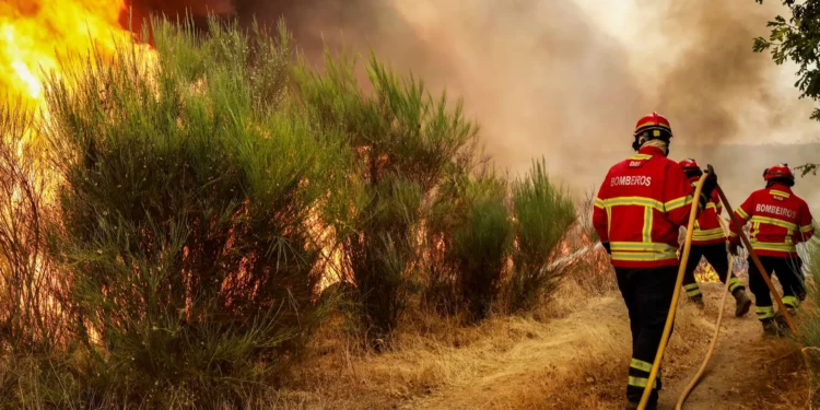 Criança emociona a todos ao combater o incêndio sozinho