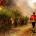 Criança emociona a todos ao combater o incêndio sozinho