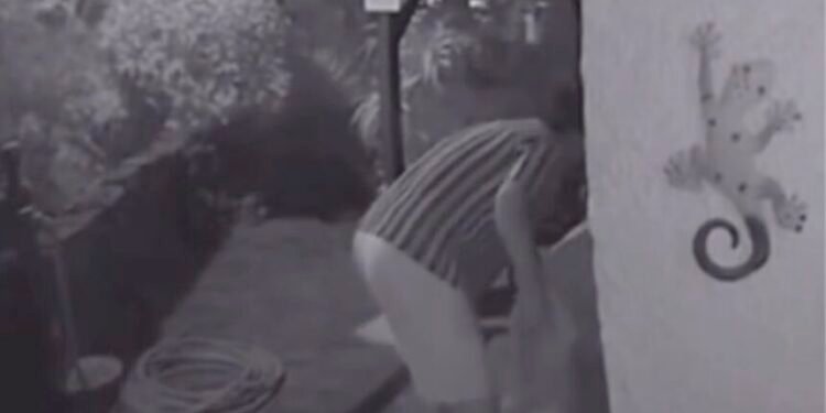 Vídeo de violência doméstica na Madeira gera revolta: bombeiro admite agressão