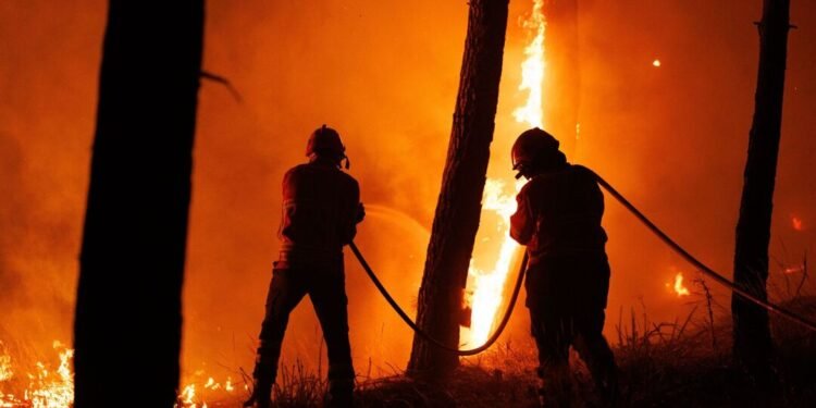 Última hora: Incêndio em habitação faz quatro desalojados em Santo Tirso