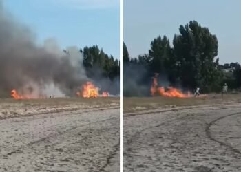 Grupo de adolescentes encontrados atear fogo