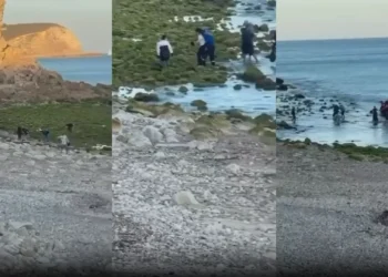 Barco com cerca de 40 pessoas de várias nacionalidades na costa do Algarve