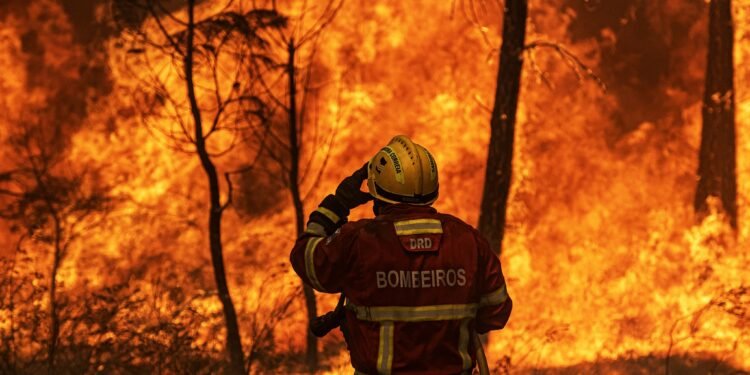 Atualização sobre o estado do Bombeiro de Pinhel que ficou cercado pelas chamas