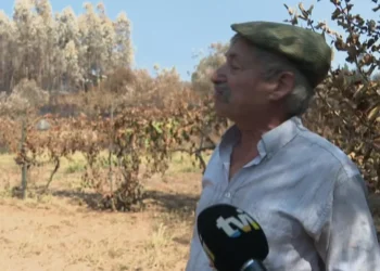 ”Tinha vinho e azeite para dar e vender, agora nem para mim”.