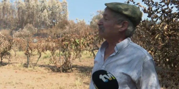 ”Tinha vinho e azeite para dar e vender, agora nem para mim”.