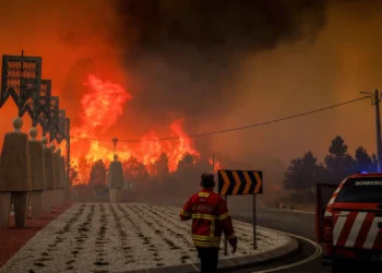 Devastador: Incêndio obriga evacuação da aldeia