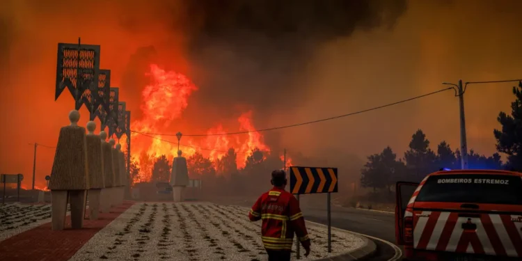 Devastador: Incêndio obriga evacuação da aldeia