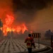 Devastador: Incêndio obriga evacuação da aldeia