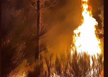 “Porque é que nós abandonaram? Não aparece ninguém para nos ajudar” desespero dos moradores cercados pelo incêndio na aldeia
