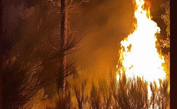 “Porque é que nós abandonaram? Não aparece ninguém para nos ajudar” desespero dos moradores cercados pelo incêndio na aldeia