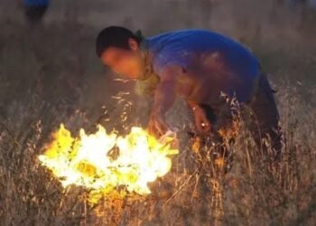 Carta aberta de um “incendiário profissional” já corre o mundo