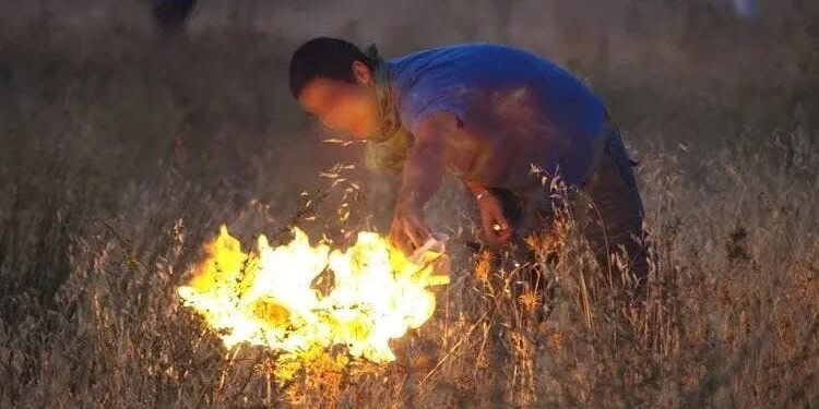 Carta aberta de um “incendiário profissional” já corre o mundo