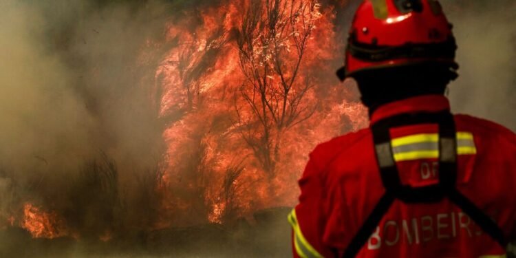 Jovem bombeira de Esposende gravemente ferida durante combate a incêndio em Vila Verde