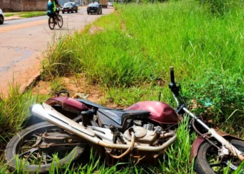 cavalo solto em estrada provoca acidente mortal com motociclista”