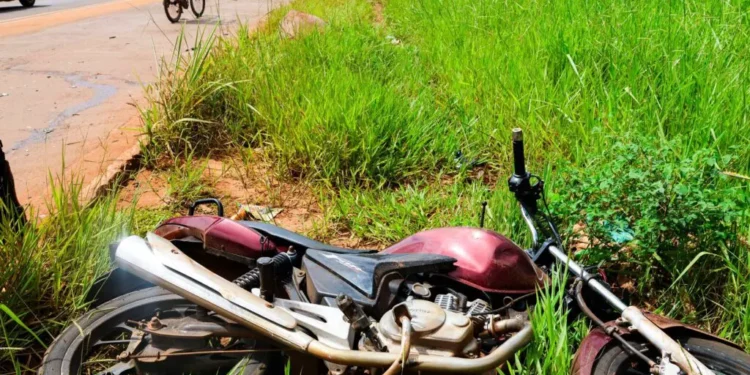 cavalo solto em estrada provoca acidente mortal com motociclista”