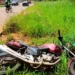 cavalo solto em estrada provoca acidente mortal com motociclista”