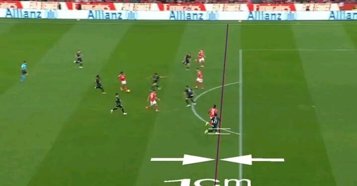Golo do Benfica anulado por 1cm, dá muito que falar