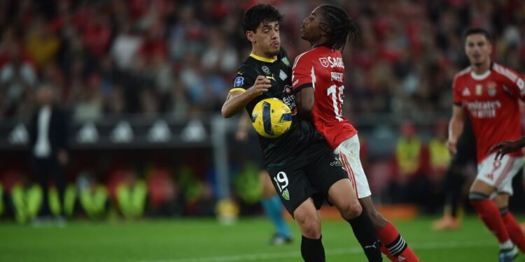 O Lance que deu no pênalti a favor do Benfica dá muito que falar