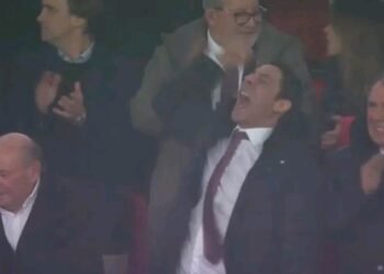 VÍDEO: A reação de Rui Costa com golo épico de Trubin já corre o mundo