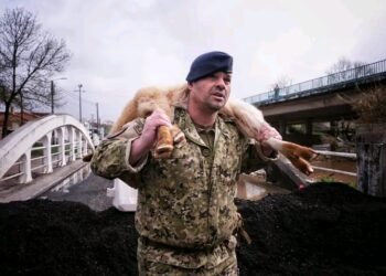Imagem de militar a resgatar ovelha em Leiria torna-se viral