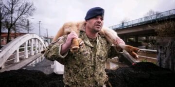 Imagem de militar a resgatar ovelha em Leiria torna-se viral
