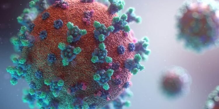 NOVO VÍRUS JÁ ESTÁ EM PORTUGAL E INSPIRA PREOCUPAÇÕES: DORES INCAPACITANTES E FEBRE