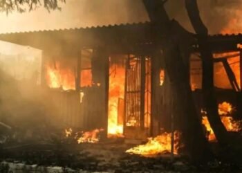 Quatro crianças morreram carbonizadas em casa