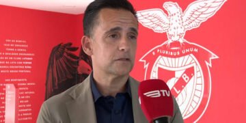 «Filho da p…! Vocês são uns filhos da p…!»: as palavras que levaram ao processo disciplinar de Mário Branco