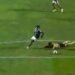 (VÍDEO) Golo anulado ao Estrela da Amadora contra o Sporting está a correr mundo